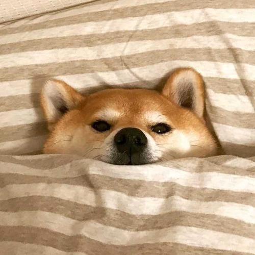 Lê Mỹ Duyên avatar